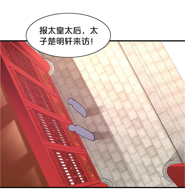 神探太子妃沈如柏小说免费阅读漫画,第13章：太皇太后1图