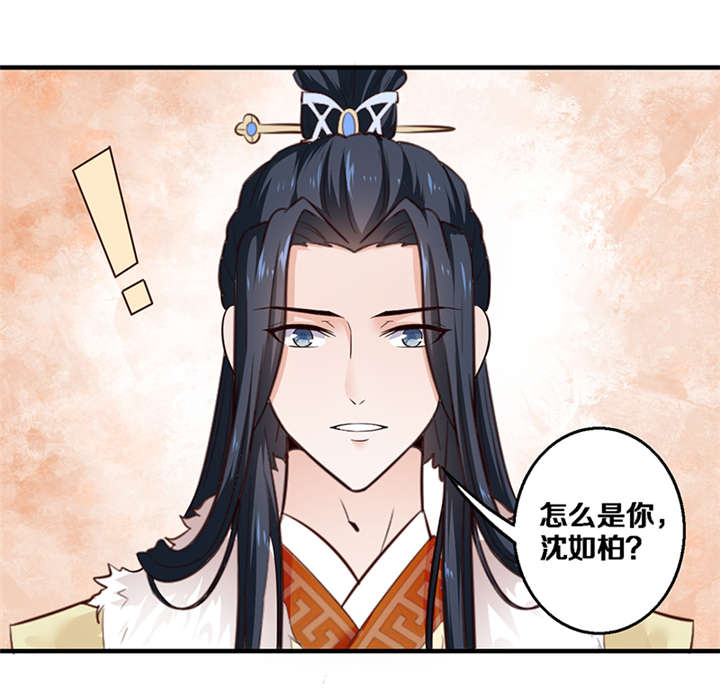 神探太子妃沈如柏小说免费阅读漫画,第4章：竟然是你2图