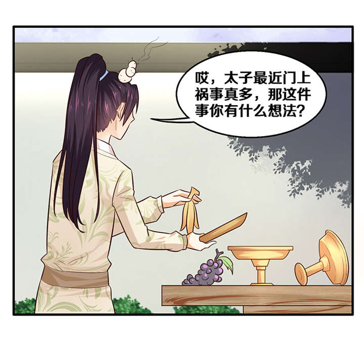 神探太子妃沈如柏小说免费阅读漫画,第4章：竟然是你1图