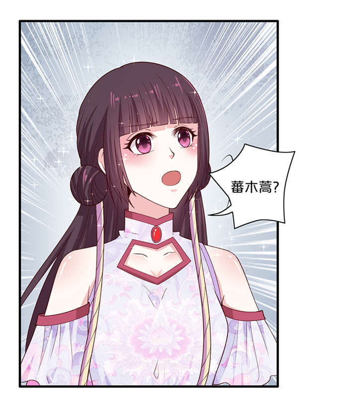 神探太子妃沈如柏小说免费阅读漫画,第13章：太皇太后2图