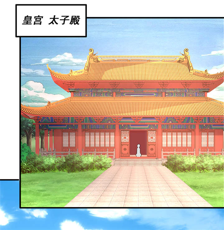 神探太子妃沈如柏小说免费阅读漫画,第4章：竟然是你2图