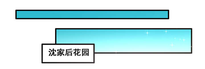 神探太子妃漫画,第6章：玉印失窃3图