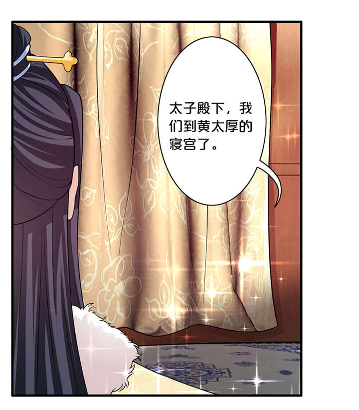 神探太子妃沈如柏小说免费阅读漫画,第13章：太皇太后1图