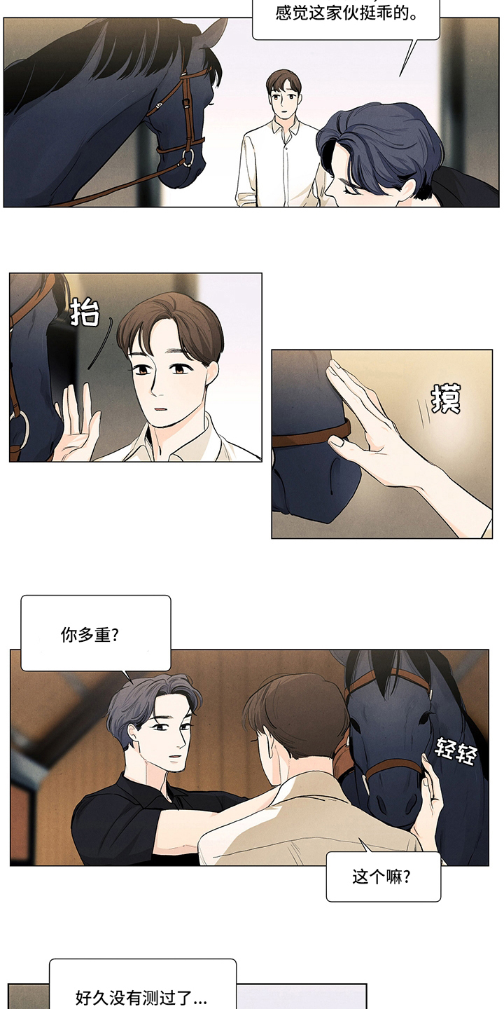 春天的爱情漫画,第89章：骑马5图