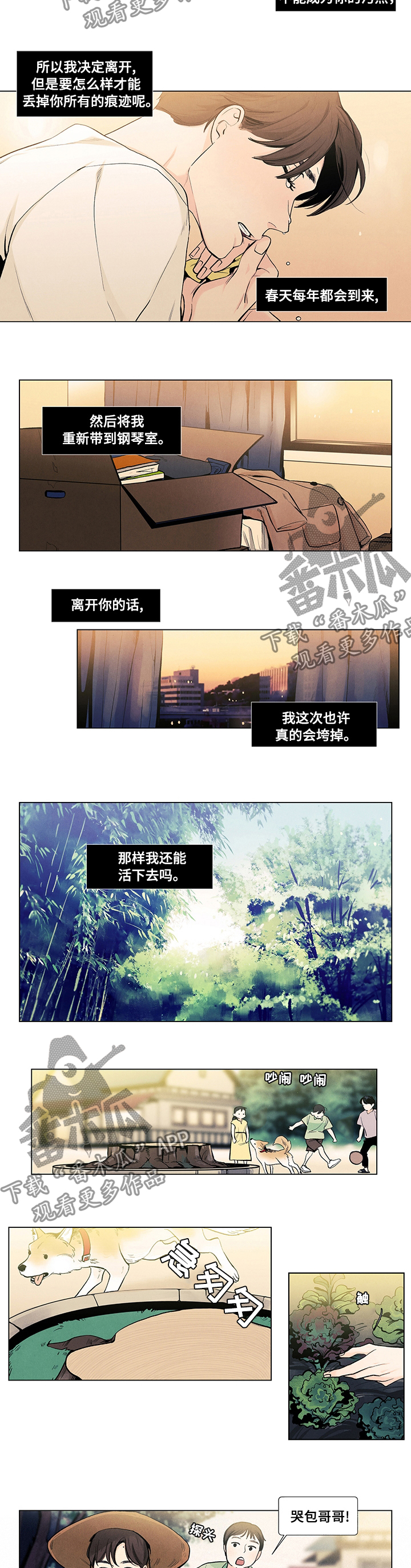 春天的爱情漫画,第69章：哭包哥哥3图