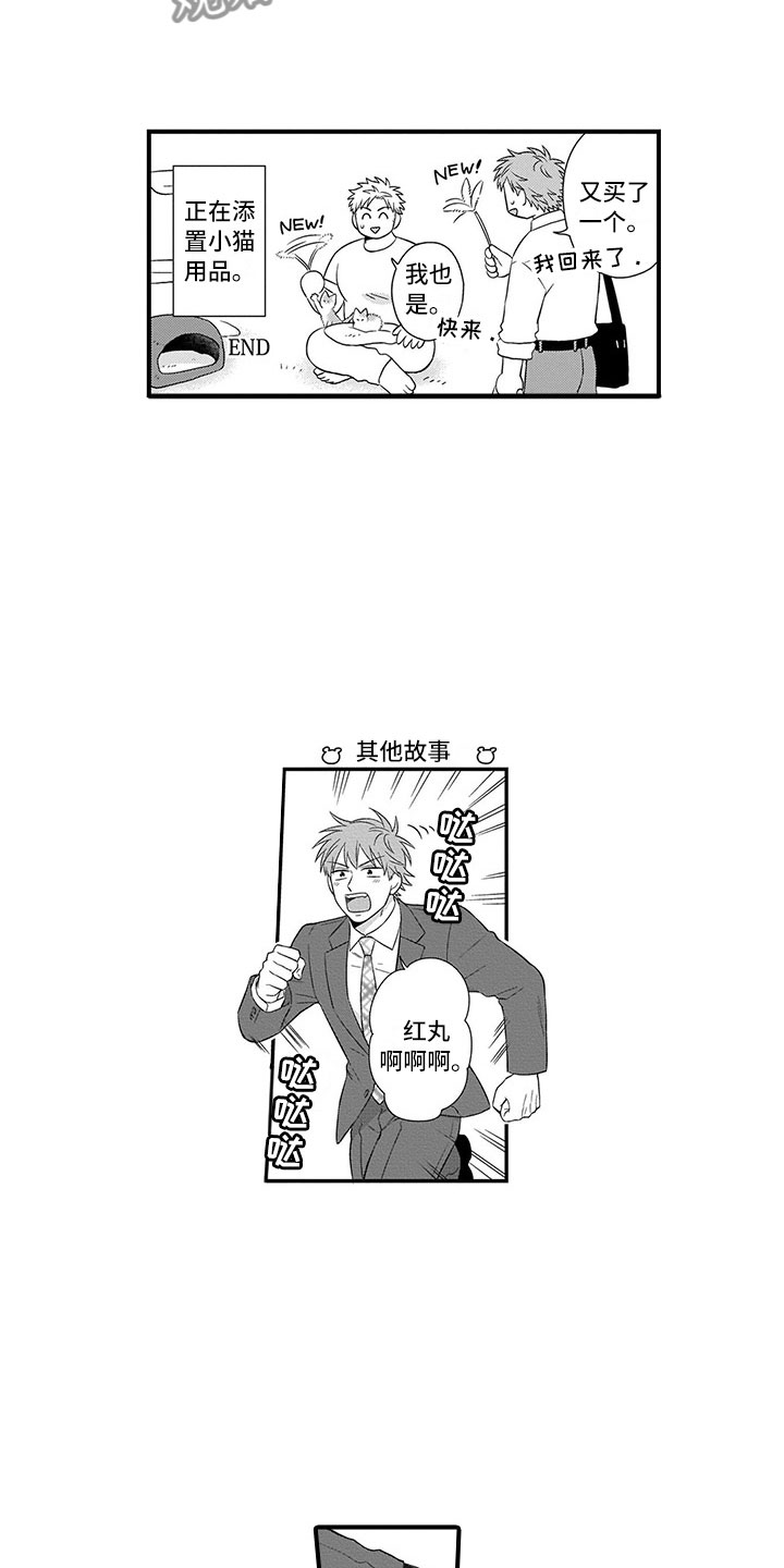 取向狙击漫画,第22章：猫咪5图