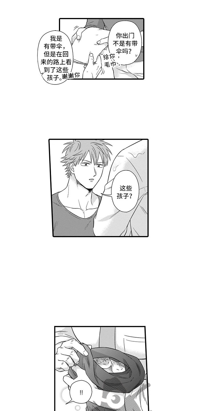 取向狙击漫画,第22章：猫咪5图
