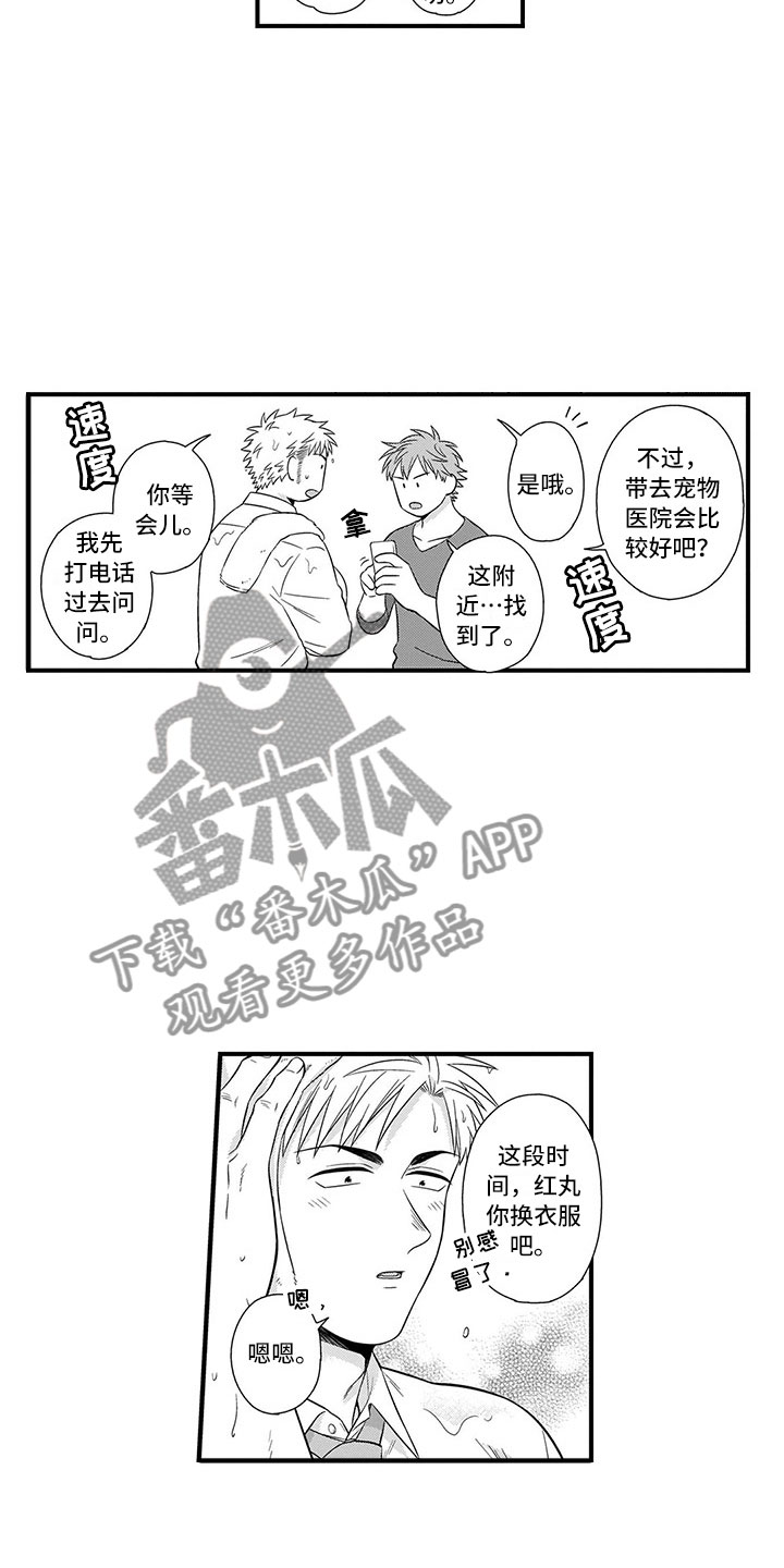 取向狙击漫画,第22章：猫咪2图