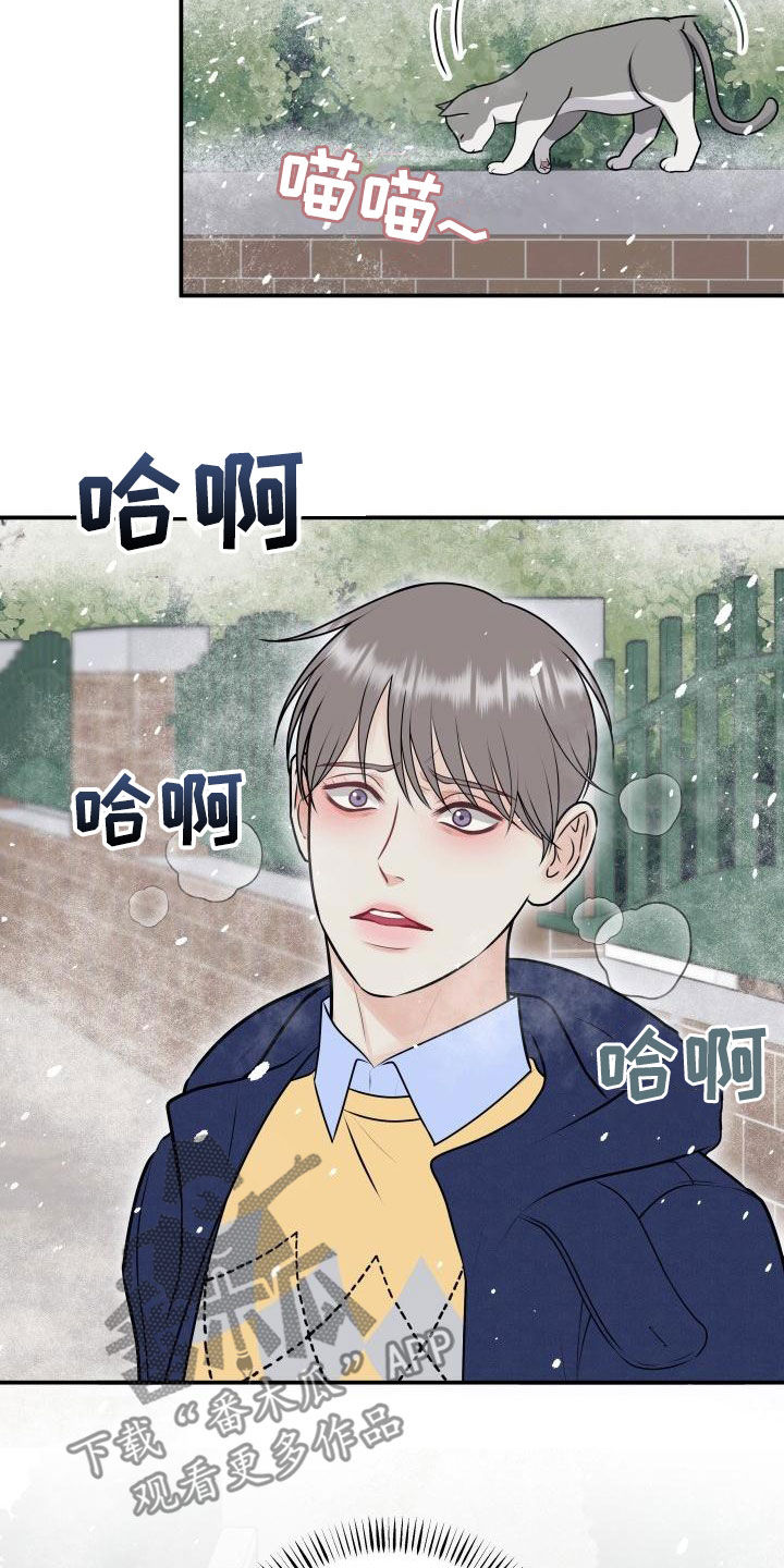 我非常幸福漫画,第102章：【第二季】我们分手吧3图