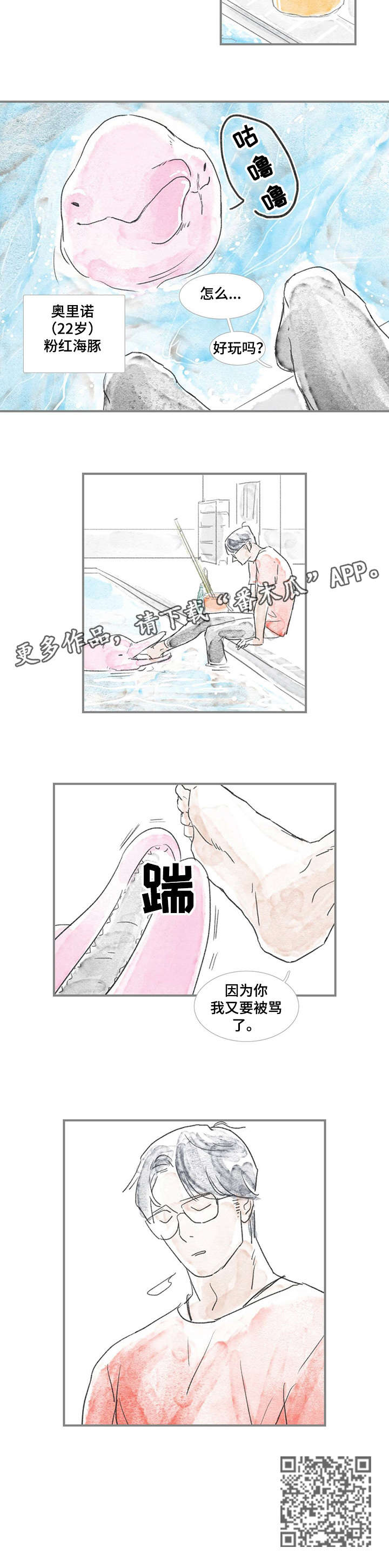 海豚教练教学视频内容漫画,第6章：住所3图