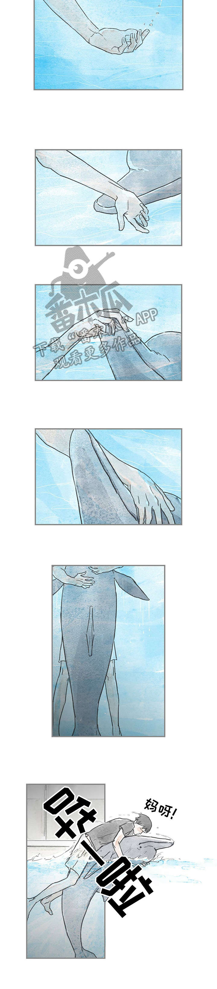海豚训练师怎么考漫画,第16章：好奇2图
