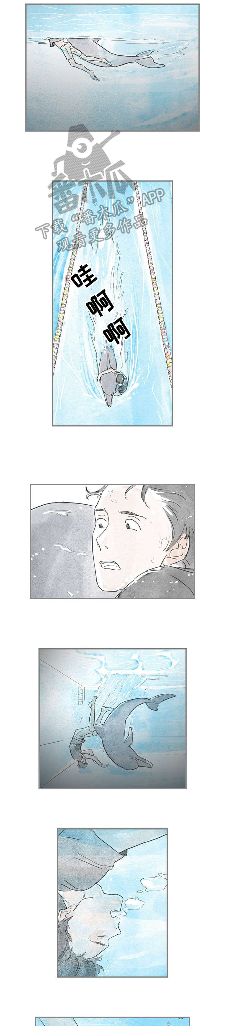 海豚训练师怎么考漫画,第16章：好奇1图
