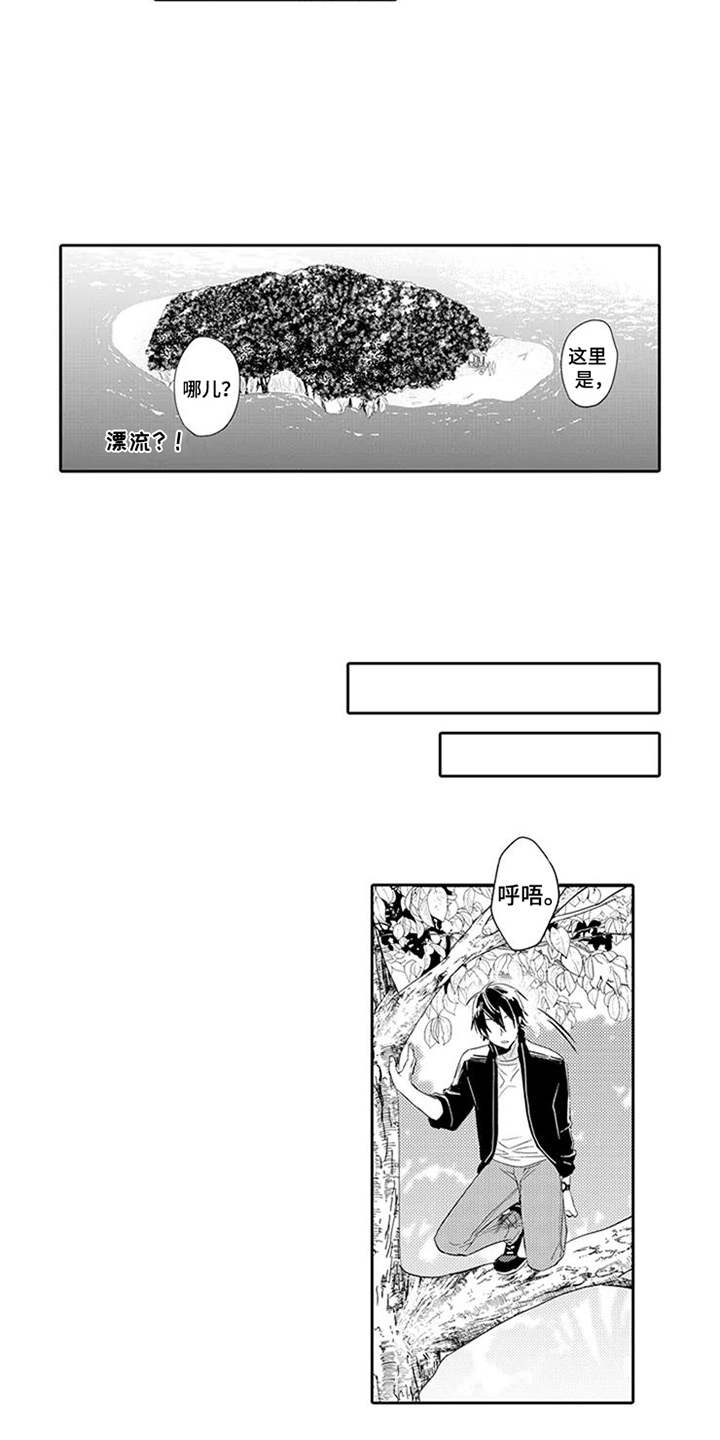 海岛漂流漫画,第2章：海岛2图