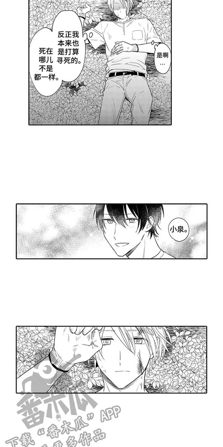 海岛漂流漫画,第9章：摔下悬崖5图