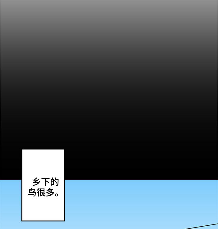 水幕之下漫画,第27章：论坛2图