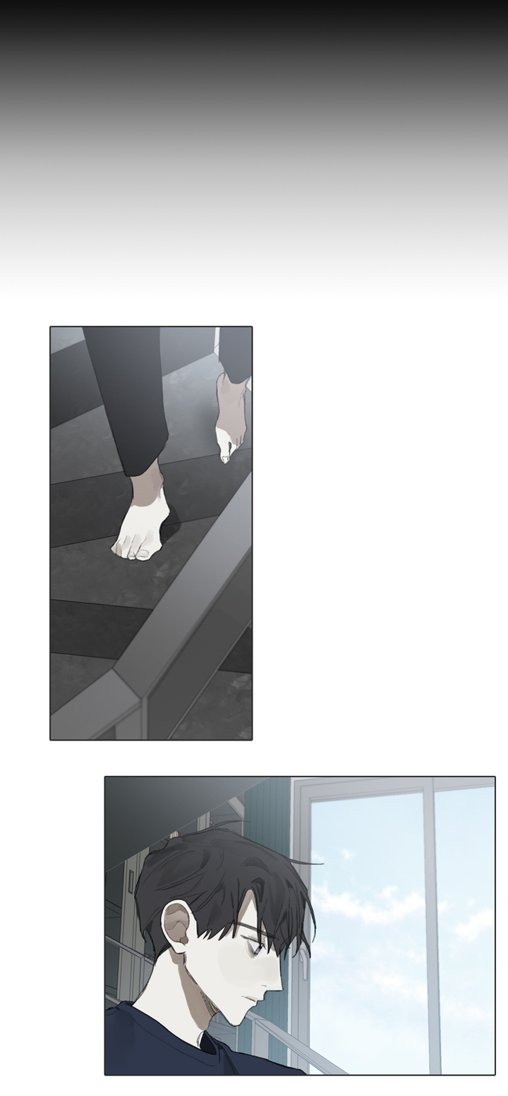 矛盾钢琴家漫画,第59章：跟着自己的心走2图