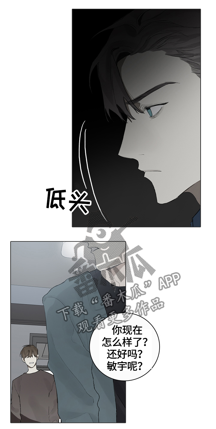 矛盾钢琴家漫画,第63章：目击4图