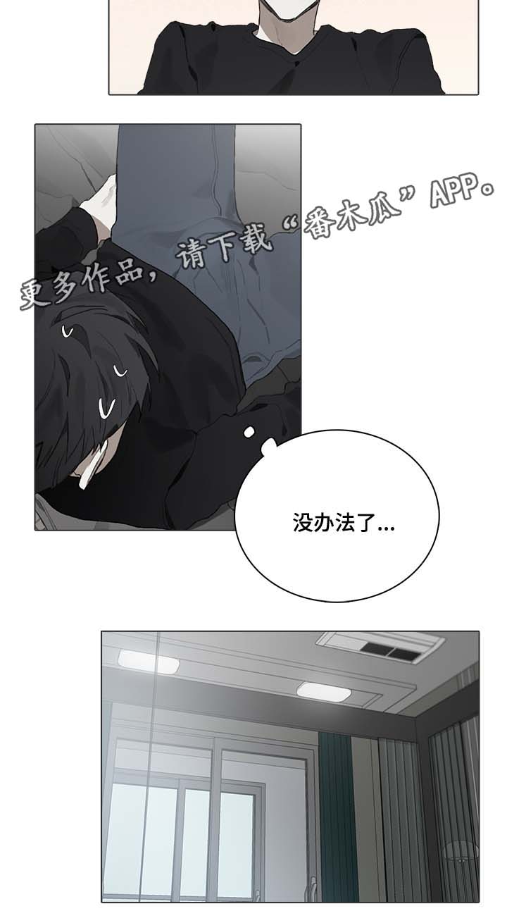 矛盾钢琴家漫画,第48章：国外演奏会4图