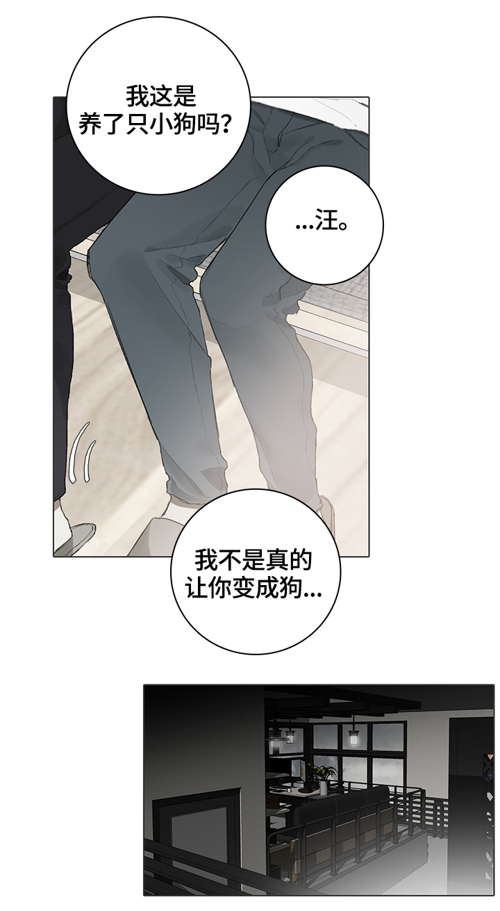 矛盾钢琴家漫画,第62章：代替3图