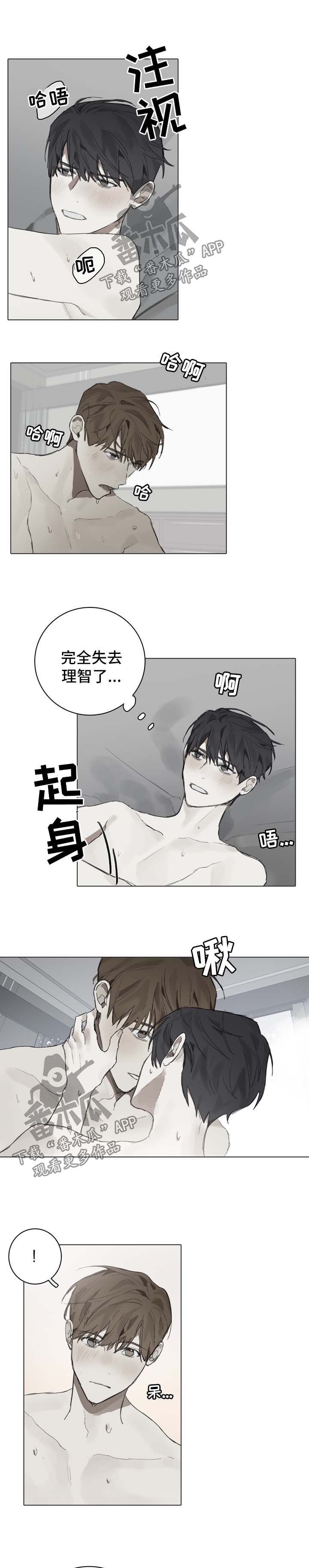 矛盾钢琴家漫画,第84章：重归日常2图