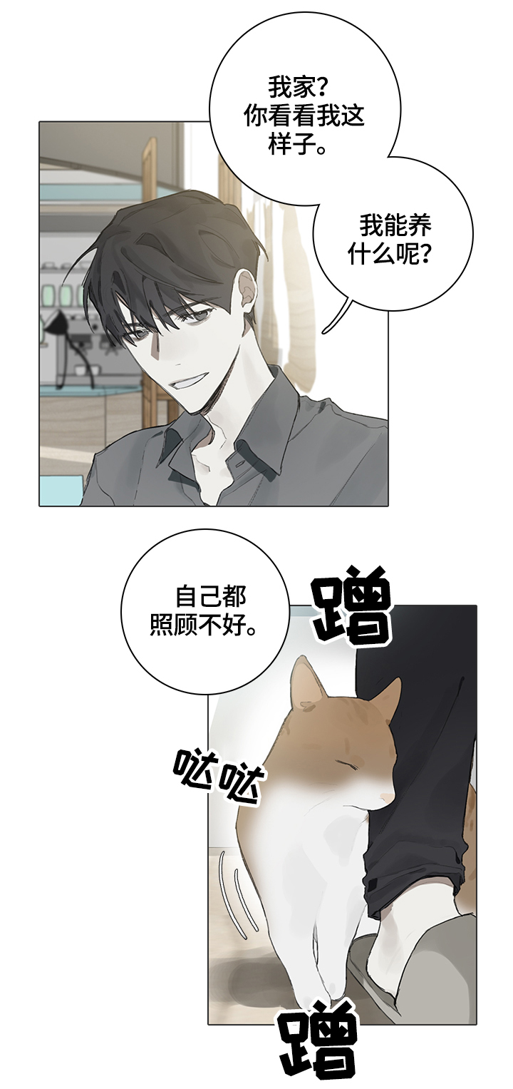 矛盾钢琴家漫画,第62章：代替1图