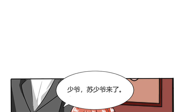 总裁X宅女漫画,第19章：苏先生的过往3图