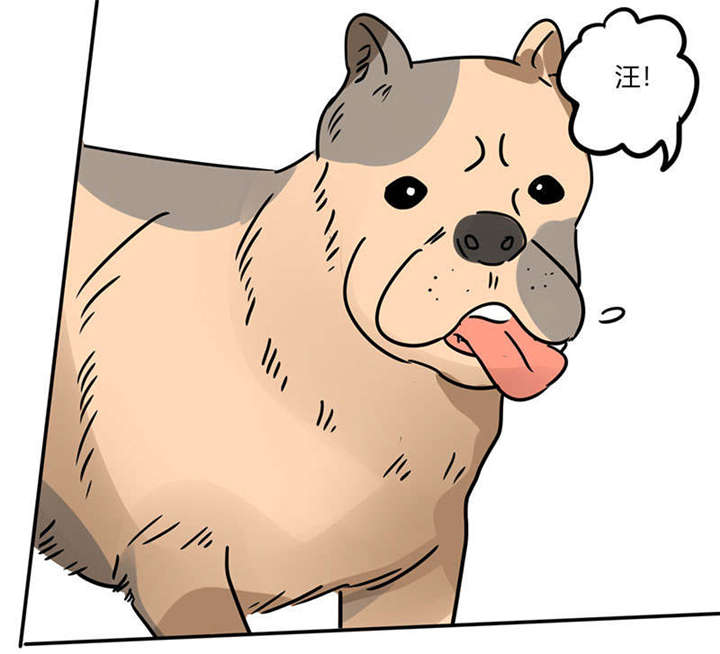 总裁X宅女漫画,第26章：番外三：你的名字是……5图