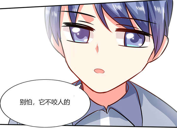 总裁X宅女漫画,第26章：番外三：你的名字是……5图