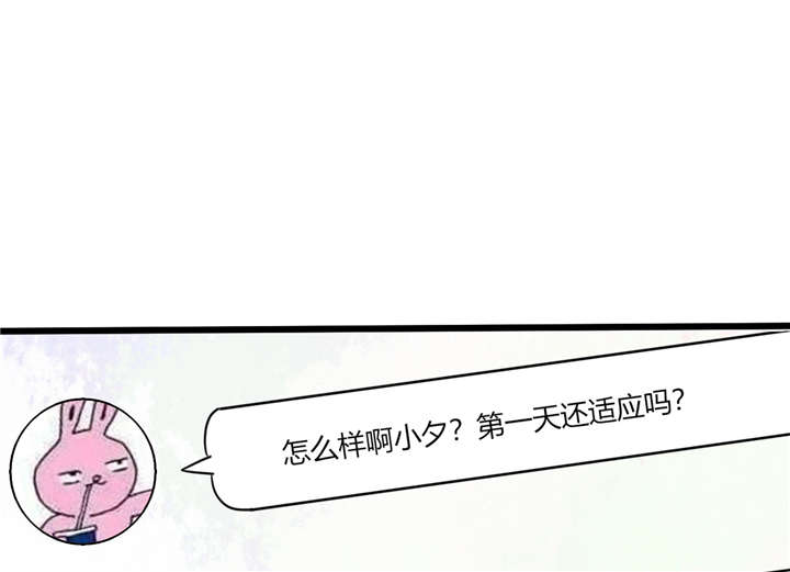 总裁X宅女漫画,第11章：这些事情要牢记哦5图