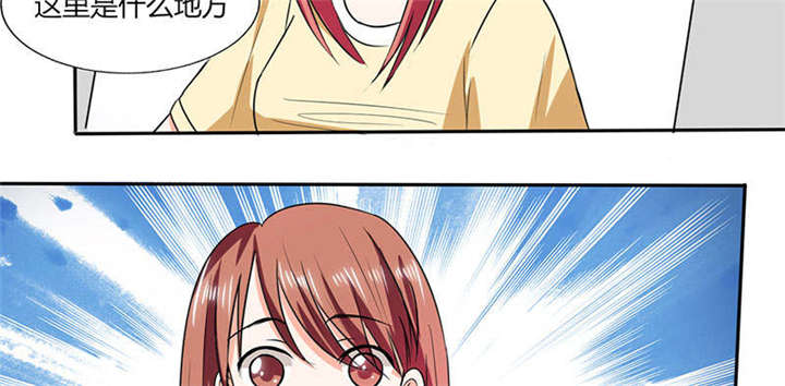 总裁X宅女漫画,第41章：总裁的豪宅2图