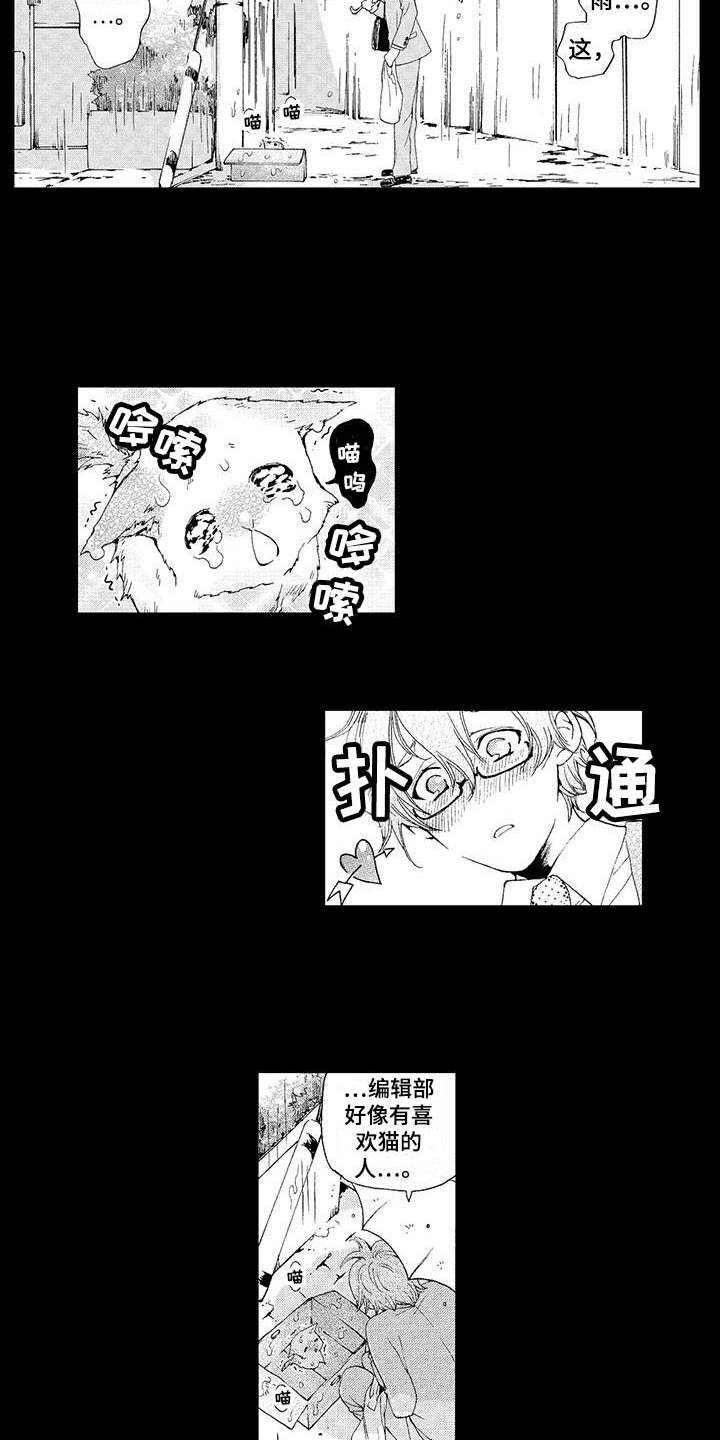 为作品而生漫画,第2章：小猫1图
