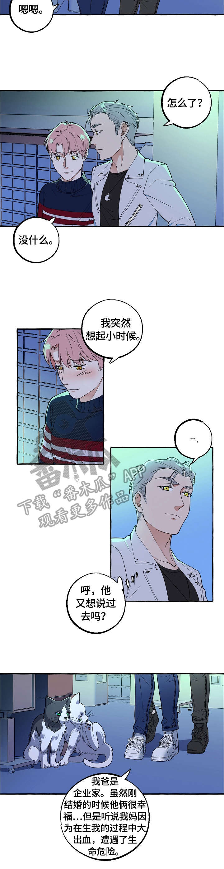双重曝光漫画,第54章：荣幸2图