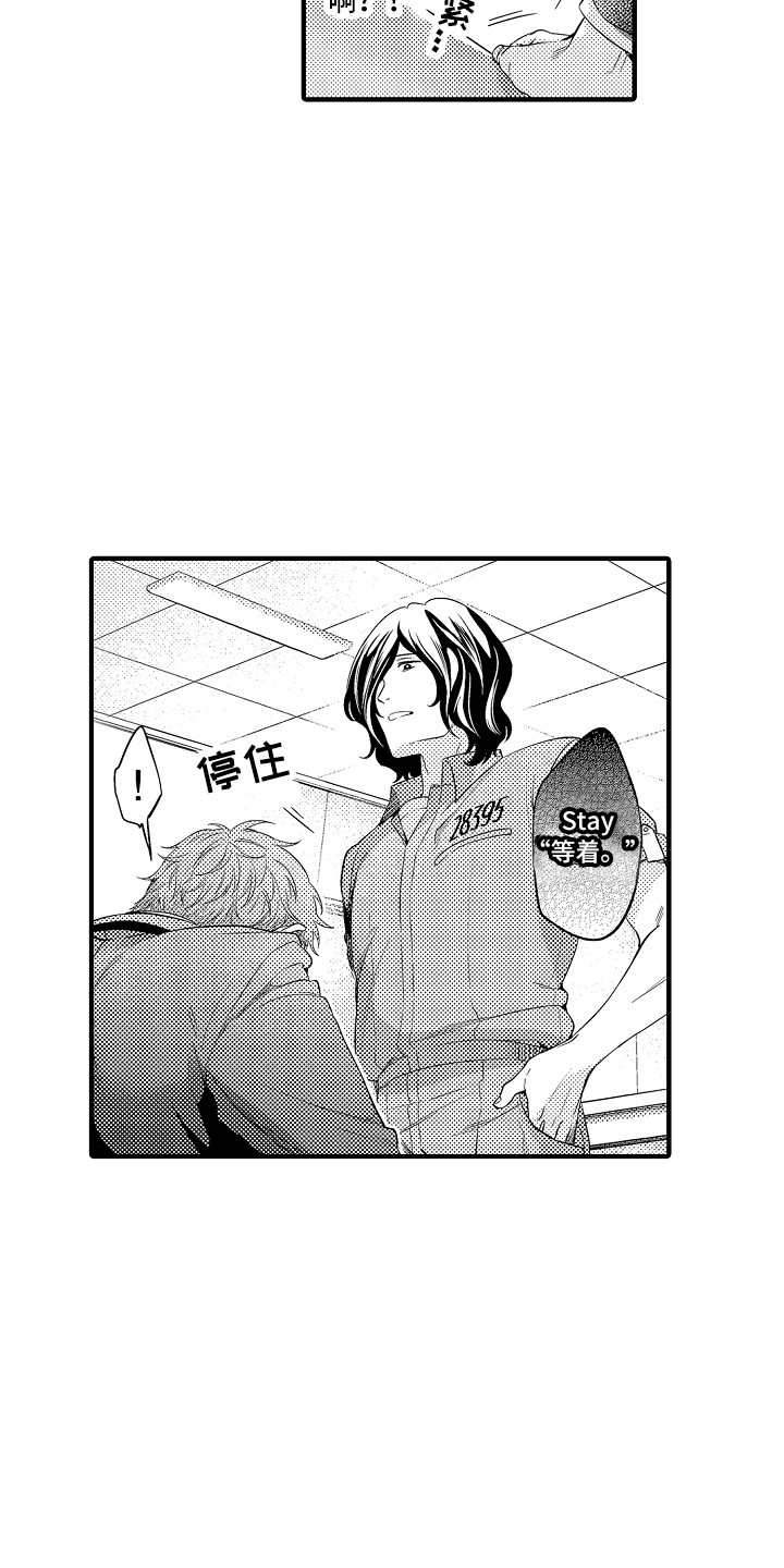 顺从的女孩凯西豆瓣漫画,第4章：命令2图