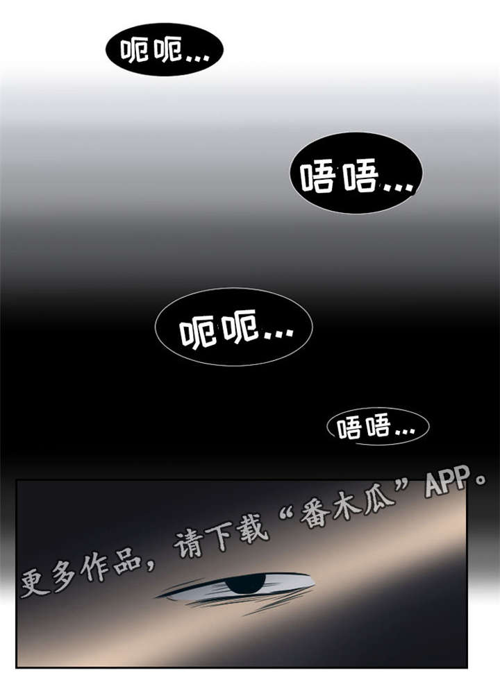 替代者们漫画,第10章：拜访夫人3图