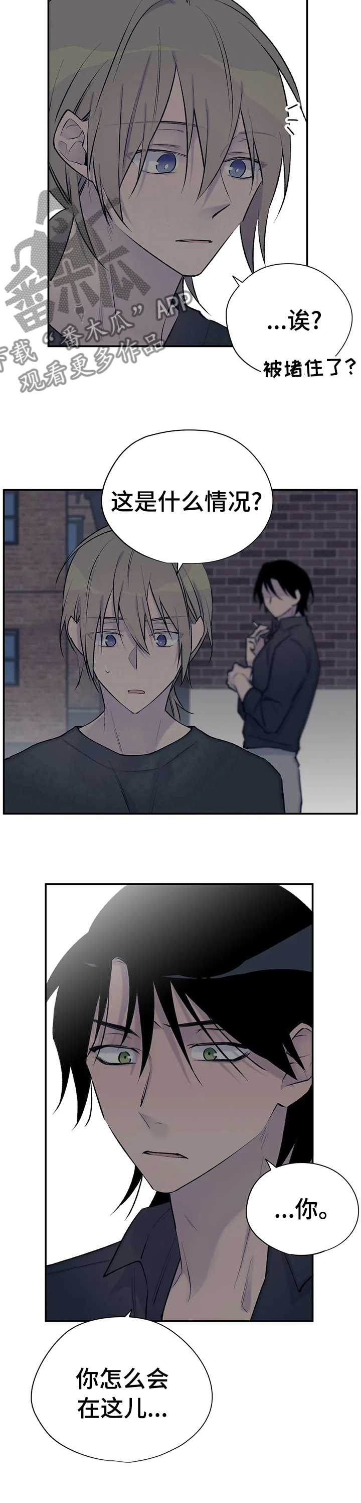 小说名叫自述漫画,第81章：继续猜5图