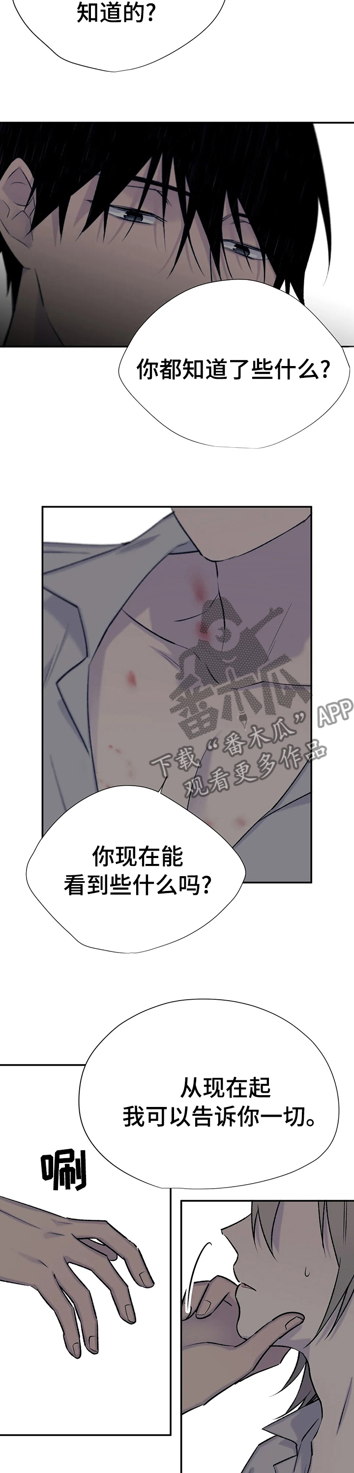自述状怎么写漫画,第73章：只对你说1图