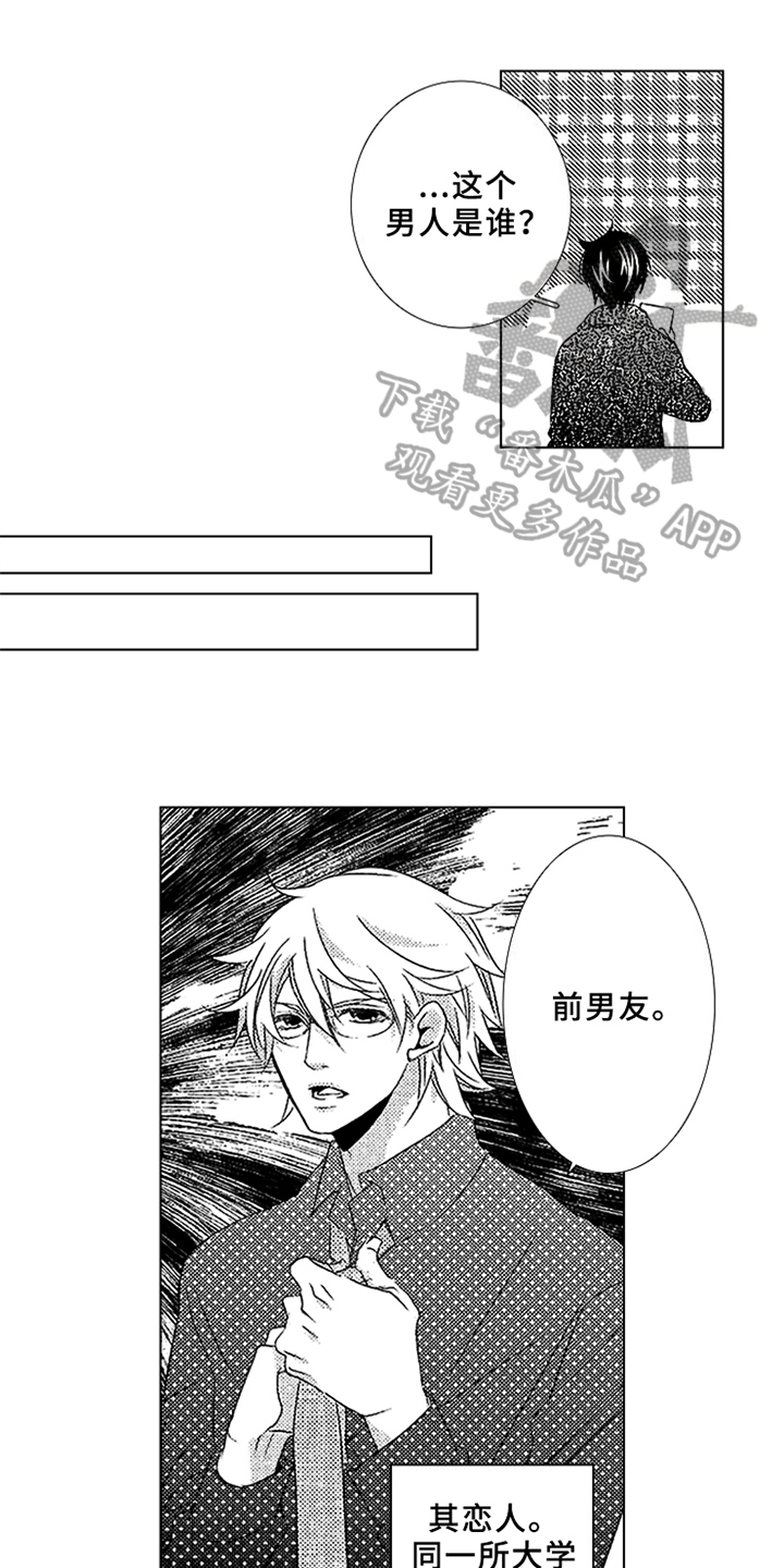 秘密数学漫画,第17章：真心3图