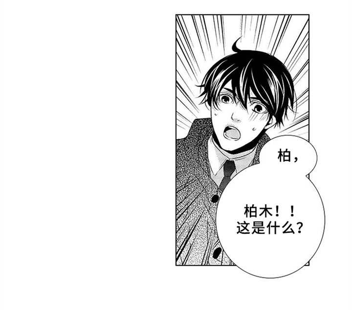 秘密潜入漫画,第2章：无视4图