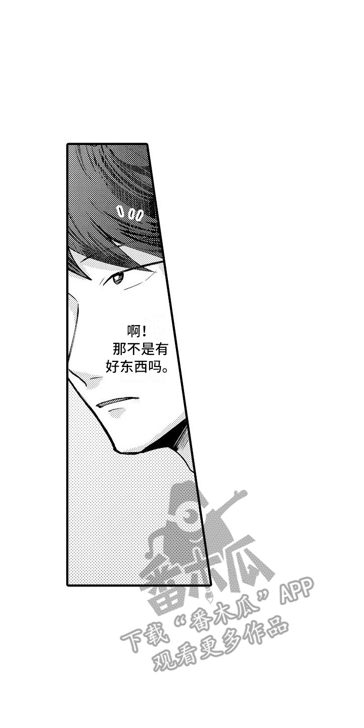 垃圾场的玫瑰漫画,第16章：道具3图