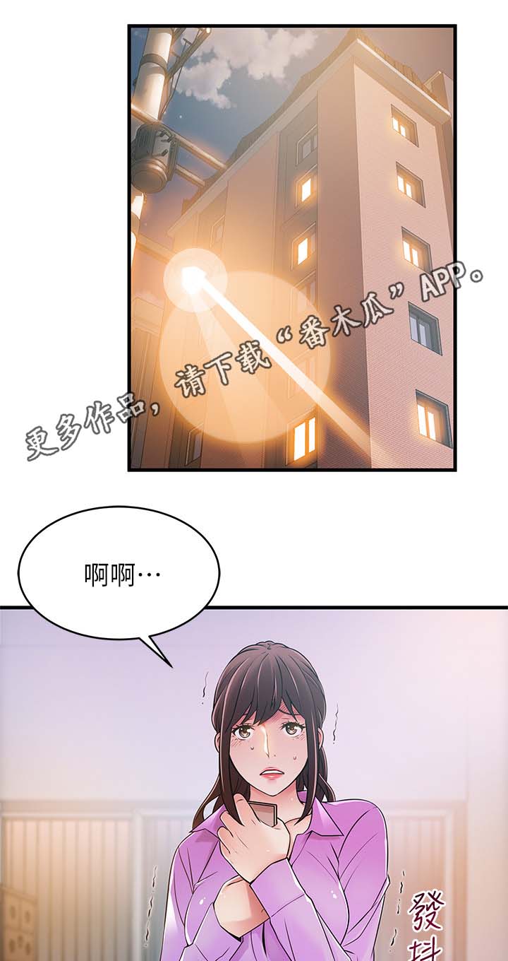 西洋事务所漫画在线漫画,第72章：已经是奇迹了1图