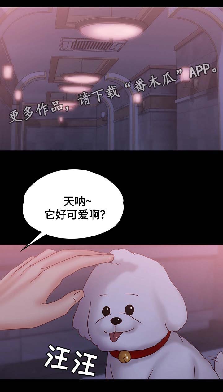 恋情模式漫画,第34章：处境3图