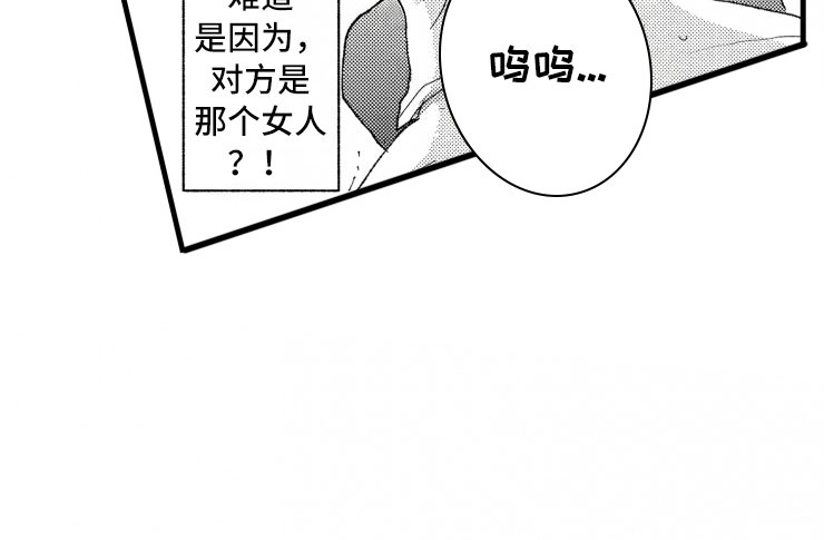 负债三十万可以去国外旅游吗漫画,第19章：霸道3图