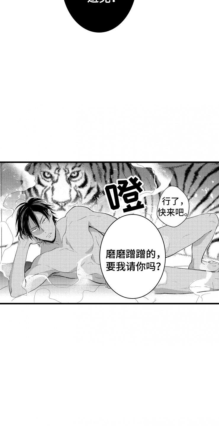 负债三千万漫画,第6章：老虎一样1图