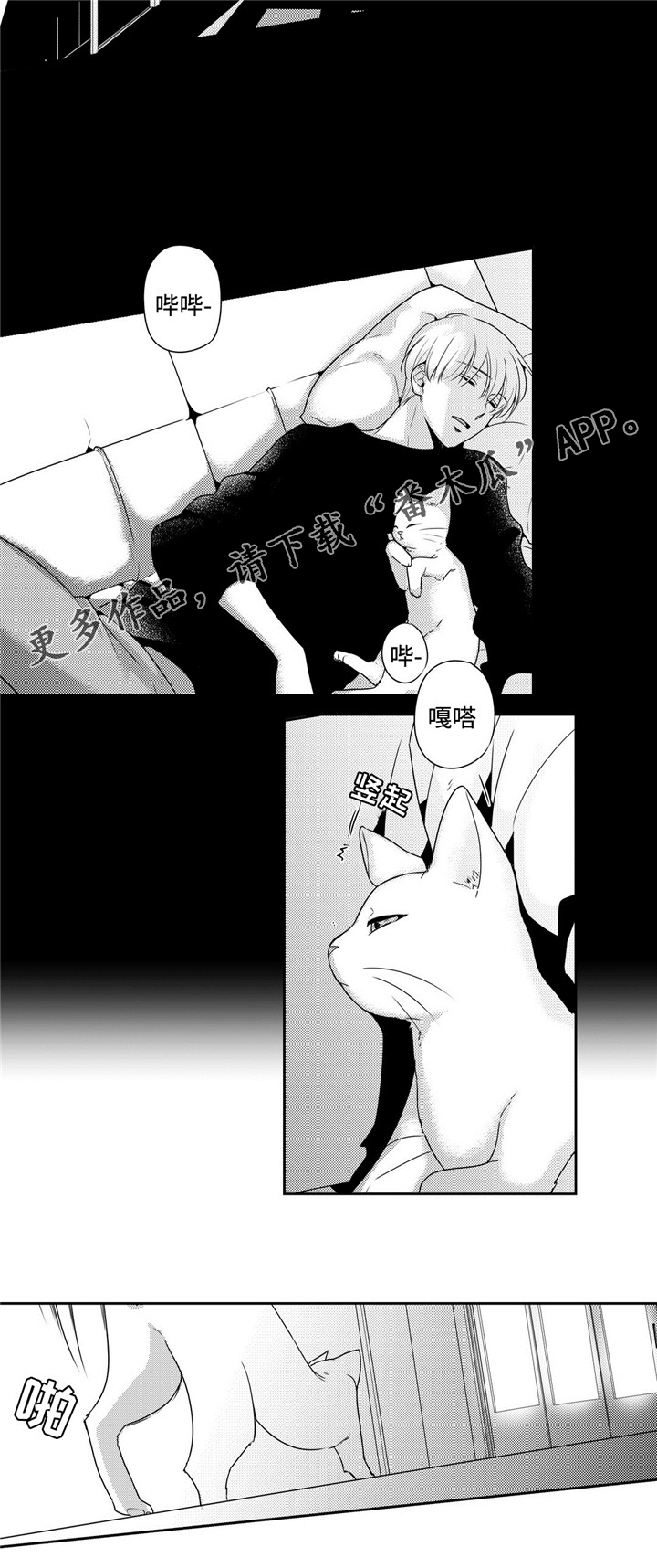 去向漫画,第29章：生日礼物4图