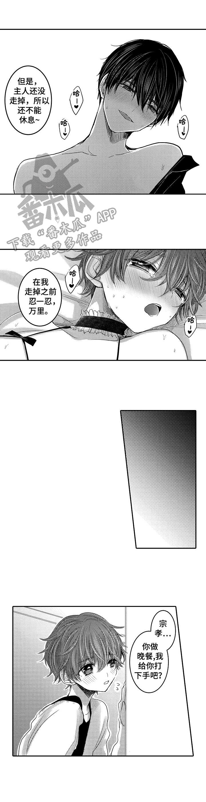 恶意程序传播途径漫画,第20章：真不错1图