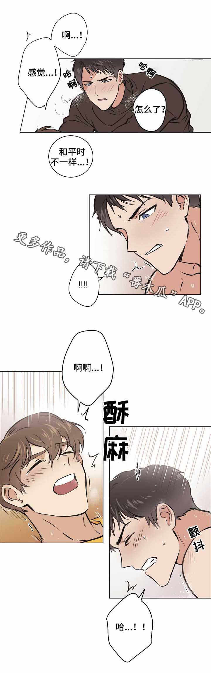 梦的篆书写法图片大全漫画,第20章：最后一步4图
