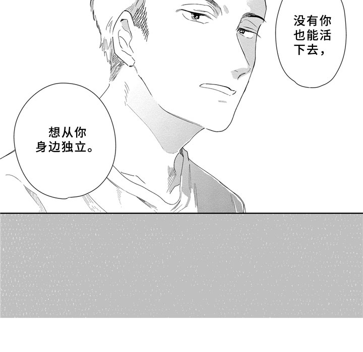 安静更从容漫画,第13章：独立2图