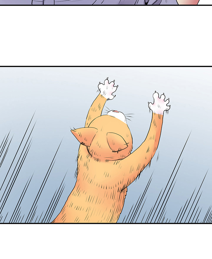 刻意撮合漫画,第27章：意外2图