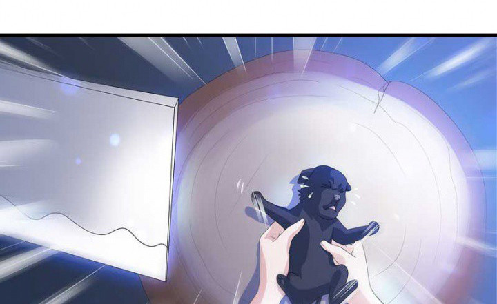 朕的老婆们全挂了漫画,第22章：刀下留狗1图