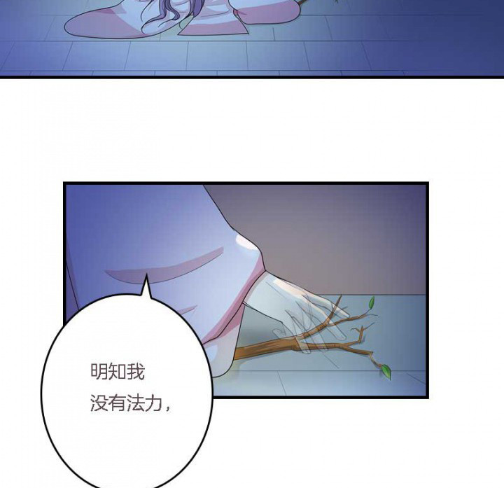 朕的老婆们全挂了漫画,第11章：虚假姐妹情3图